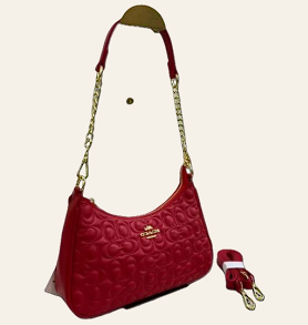 CARTERA LIGERA COACH